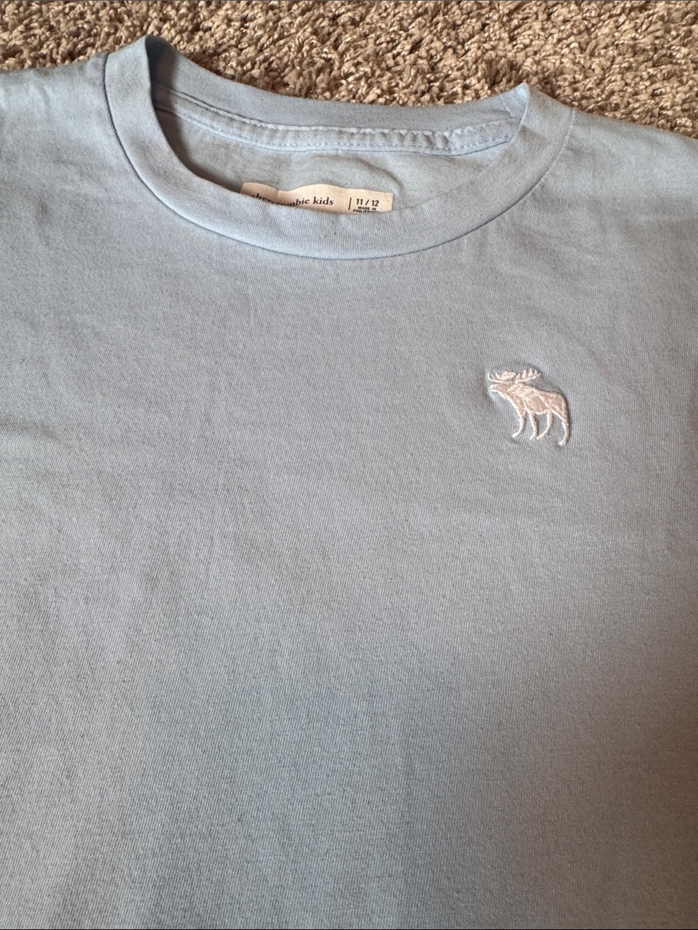 Abercrombie & Fitch Light Blue Short Sleeve Logo Tee